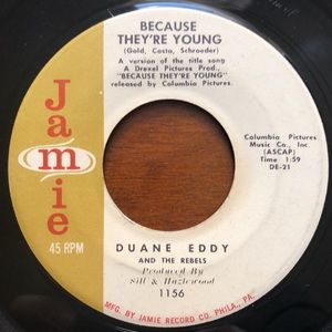 Duane Eddy Because They're Young Vinyl 45 Record